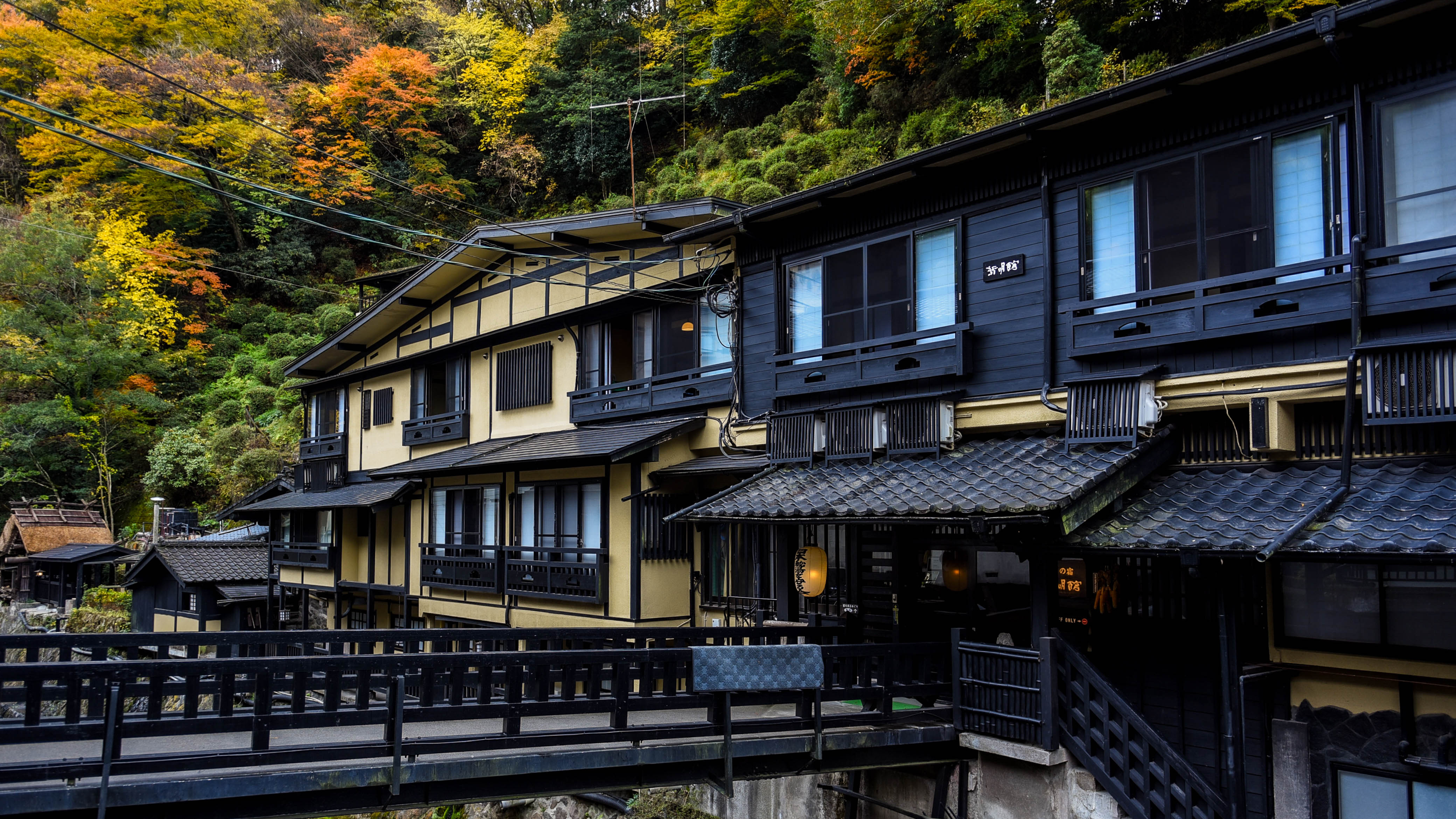 木々が黄色や橙に染まる、秋の風景