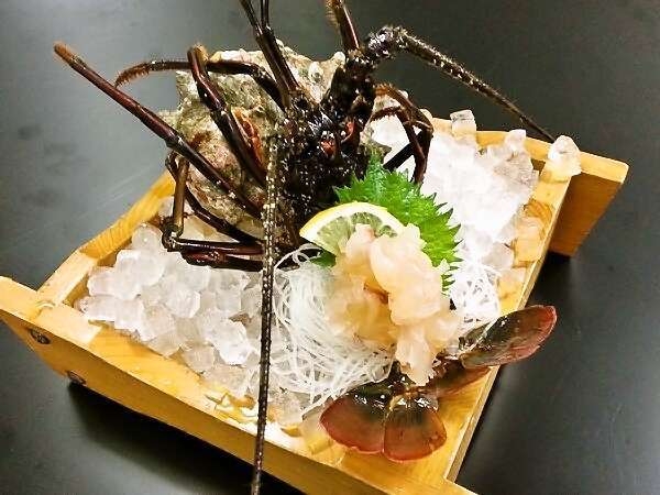 【伊勢海老一人一尾 250g超！】＆活鮑酒蒸しで海の幸を満喫★伊勢海老は3つの調理法より選べます♪