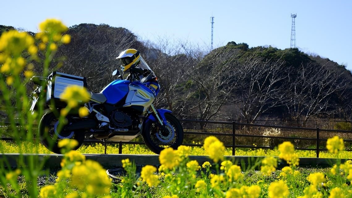 【早得30：さき楽｜1泊2食】早めのご予約で1100円引き！厳選日本酒の活鮑蒸し付き『下賀茂プラン』
