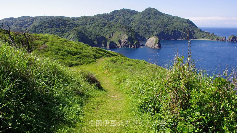 【伊勢海老一人一尾 250g超！】＆活鮑酒蒸しで海の幸を満喫★伊勢海老は3つの調理法より選べます♪