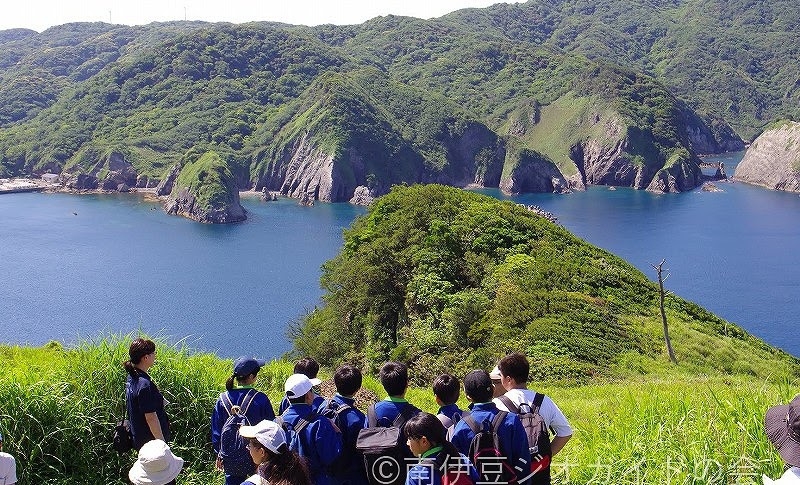 【早割30／1泊2食】早めのご予約でお得に宿泊♪源泉掛け流しの天然温泉と四季彩るお料理で南伊豆を堪能