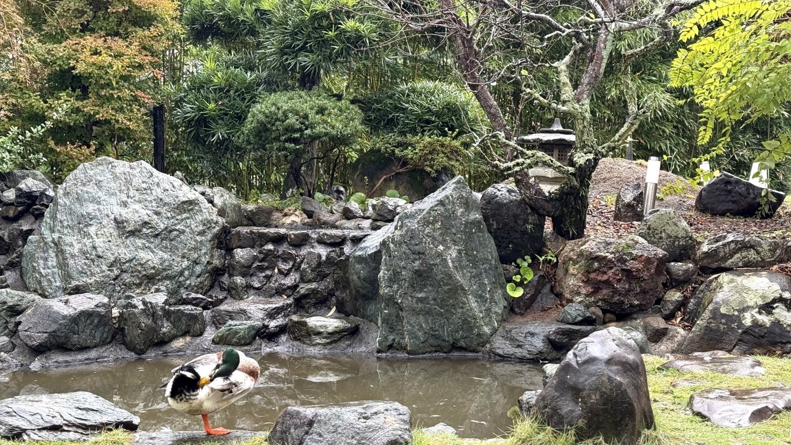 中庭