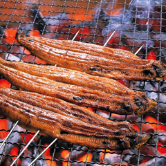 浜松名物浜名湖のウナギ♪オススメ店紹介いたします！（浜松観光コンベンションビューロー提供）