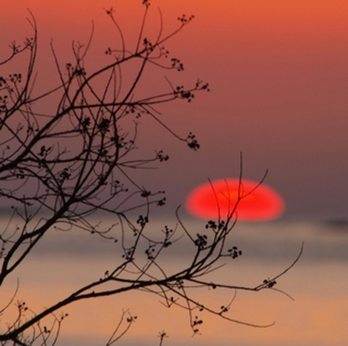 宿毛湾に落ちる夕日