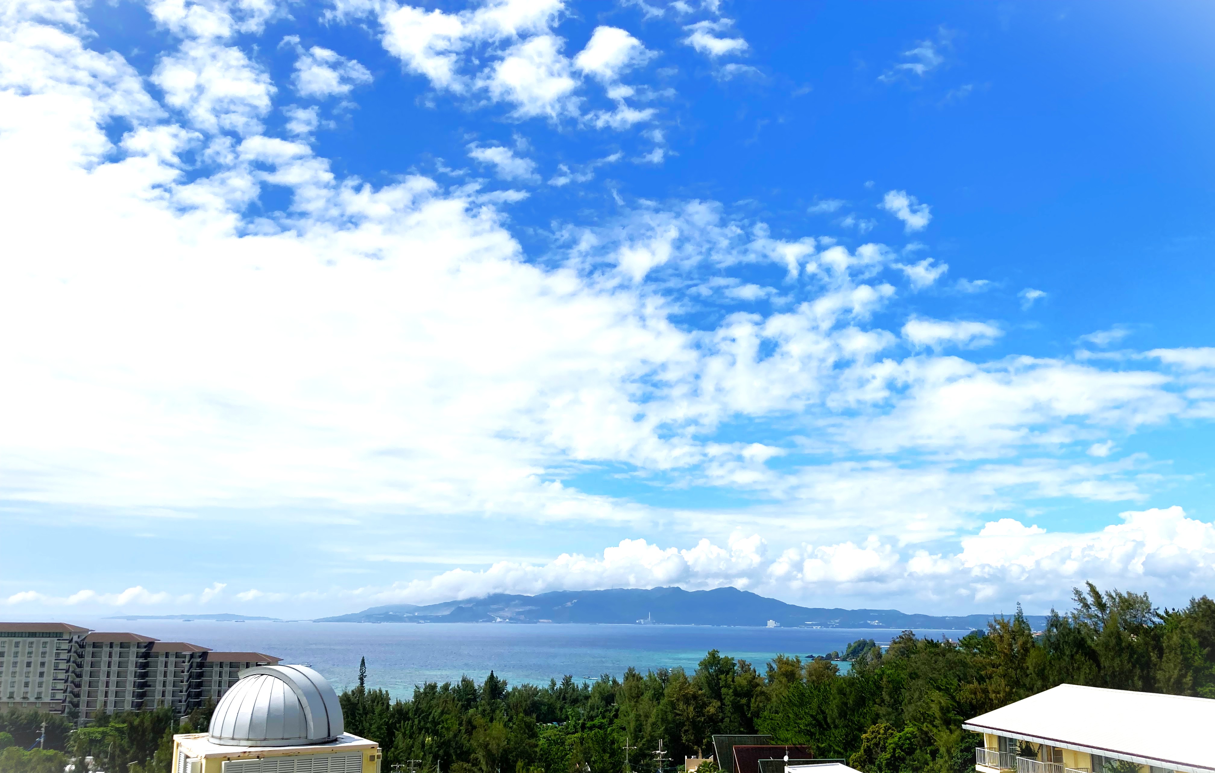 アネックス館眺望