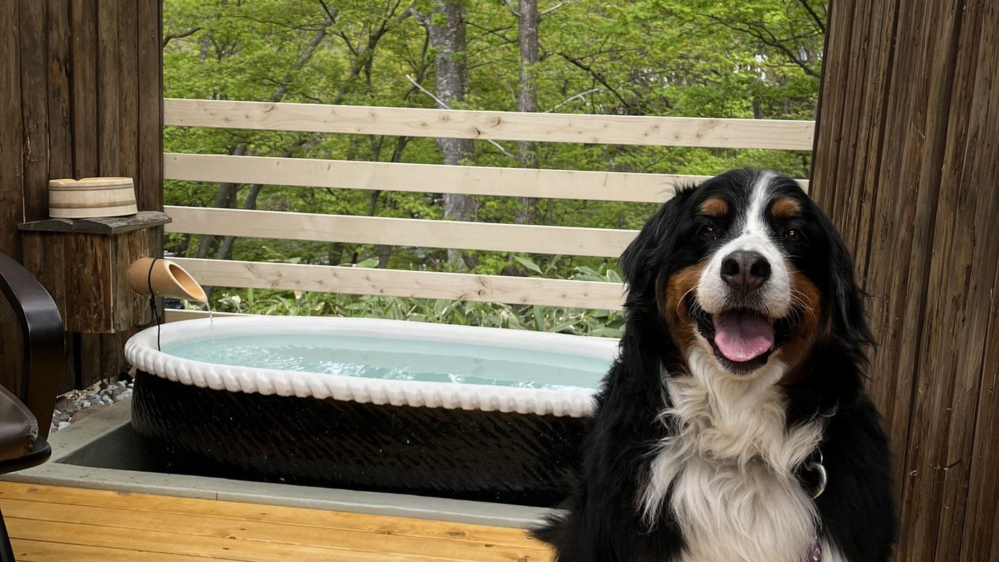 【1日1組限定】ペット特典無料×貸切温泉無料♪｜愛犬が「主役」の贅沢温泉ステイ！＜貸切風呂無料＞