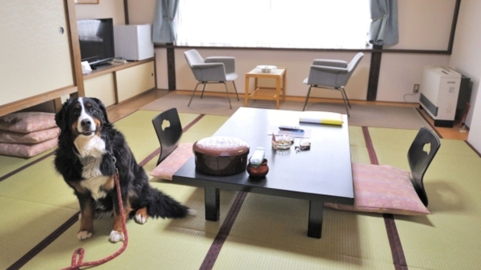 【1日1組限定】ペット特典無料×貸切温泉無料♪｜愛犬が「主役」の贅沢温泉ステイ！＜貸切風呂無料＞