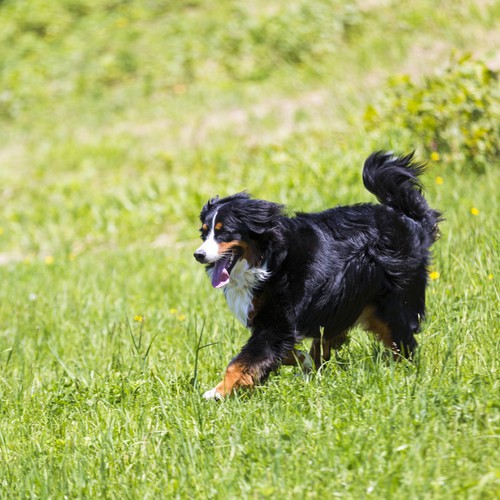 蔵王温泉 最上高湯 善七乃湯 旧 蔵王温泉 大平ホテル 設備 アメニティ 基本情報 楽天トラベル
