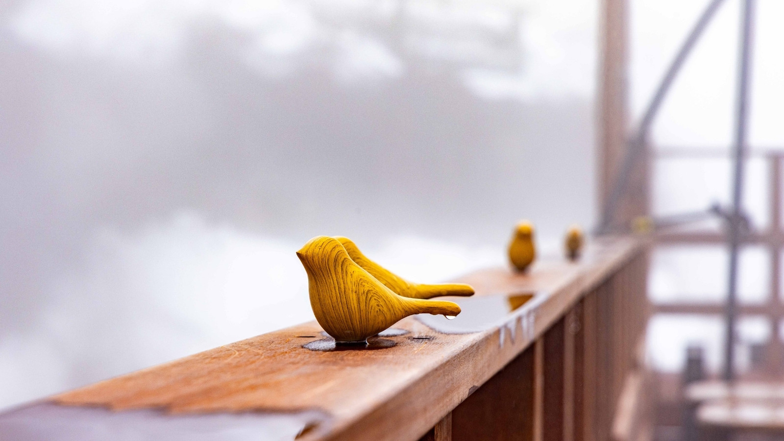 湯けむりテラス 昼