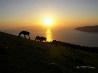 都井岬　夕日と馬