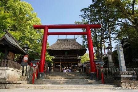 Aoi Aso Shrine