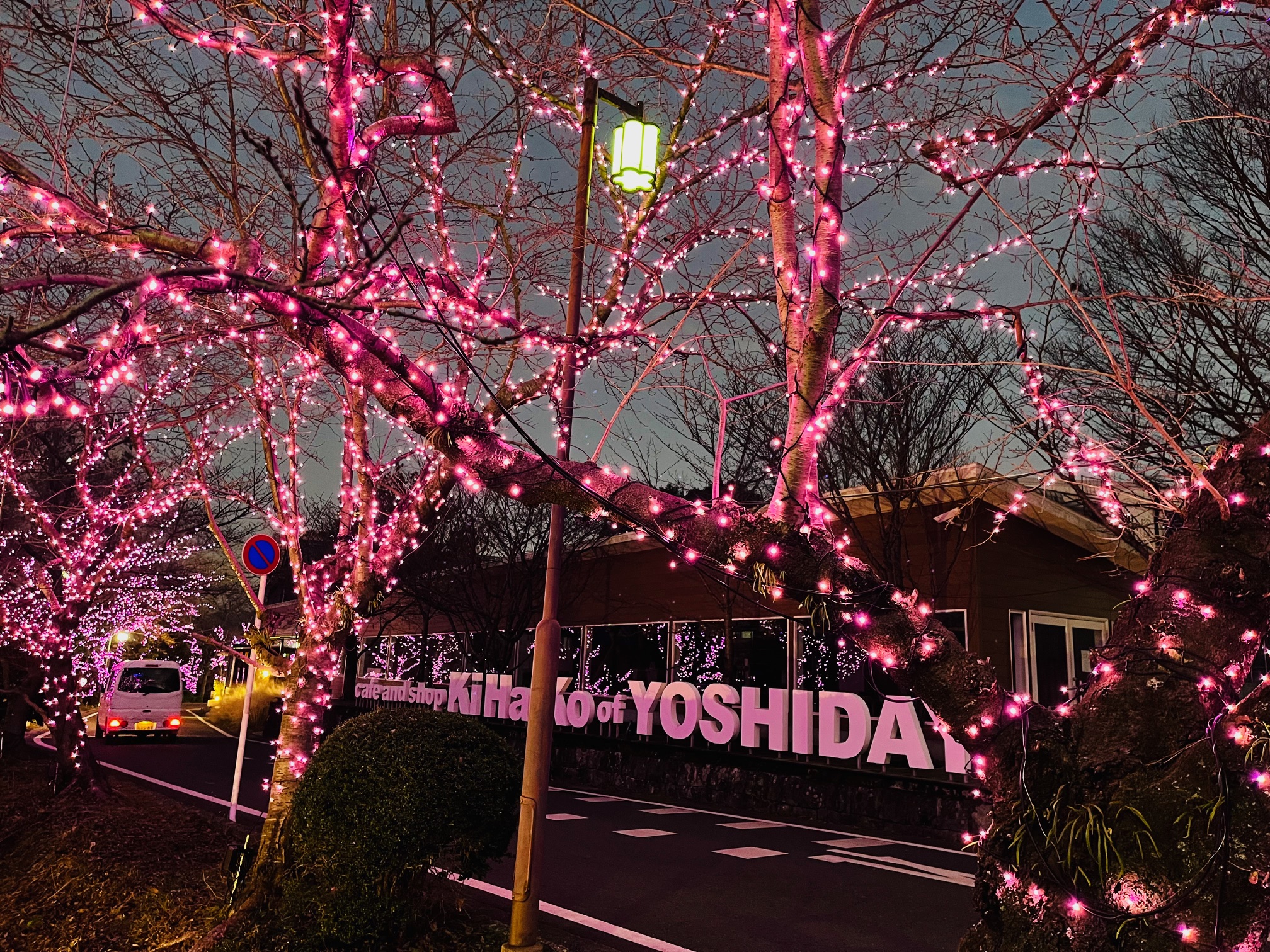 歩いて50秒のイルミネーション