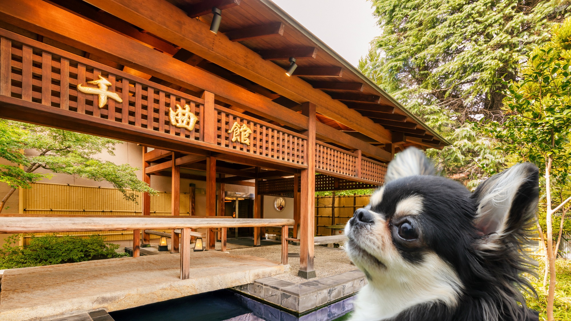 ドッグフレンドリーツイン