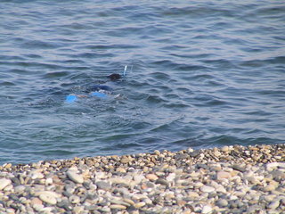 シュノーケリング