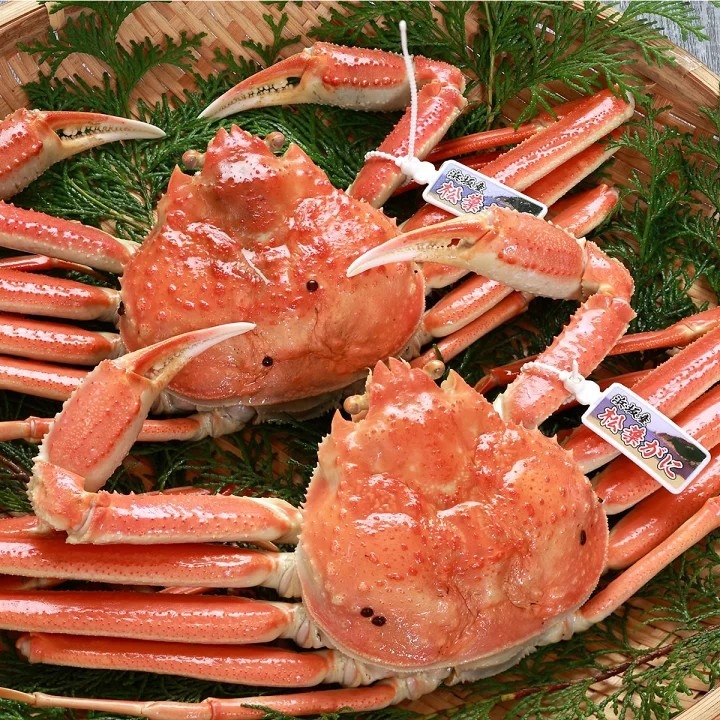 【浜坂ガニ満喫コース】ブランドガニの極上の味わい！冬の贅沢を堪能する期間限定プラン