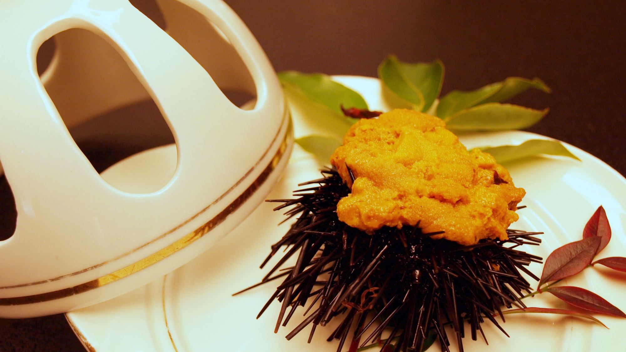 *【生うに】5月～9月初旬が旬の、濃厚な甘みを味わう新鮮な雲丹