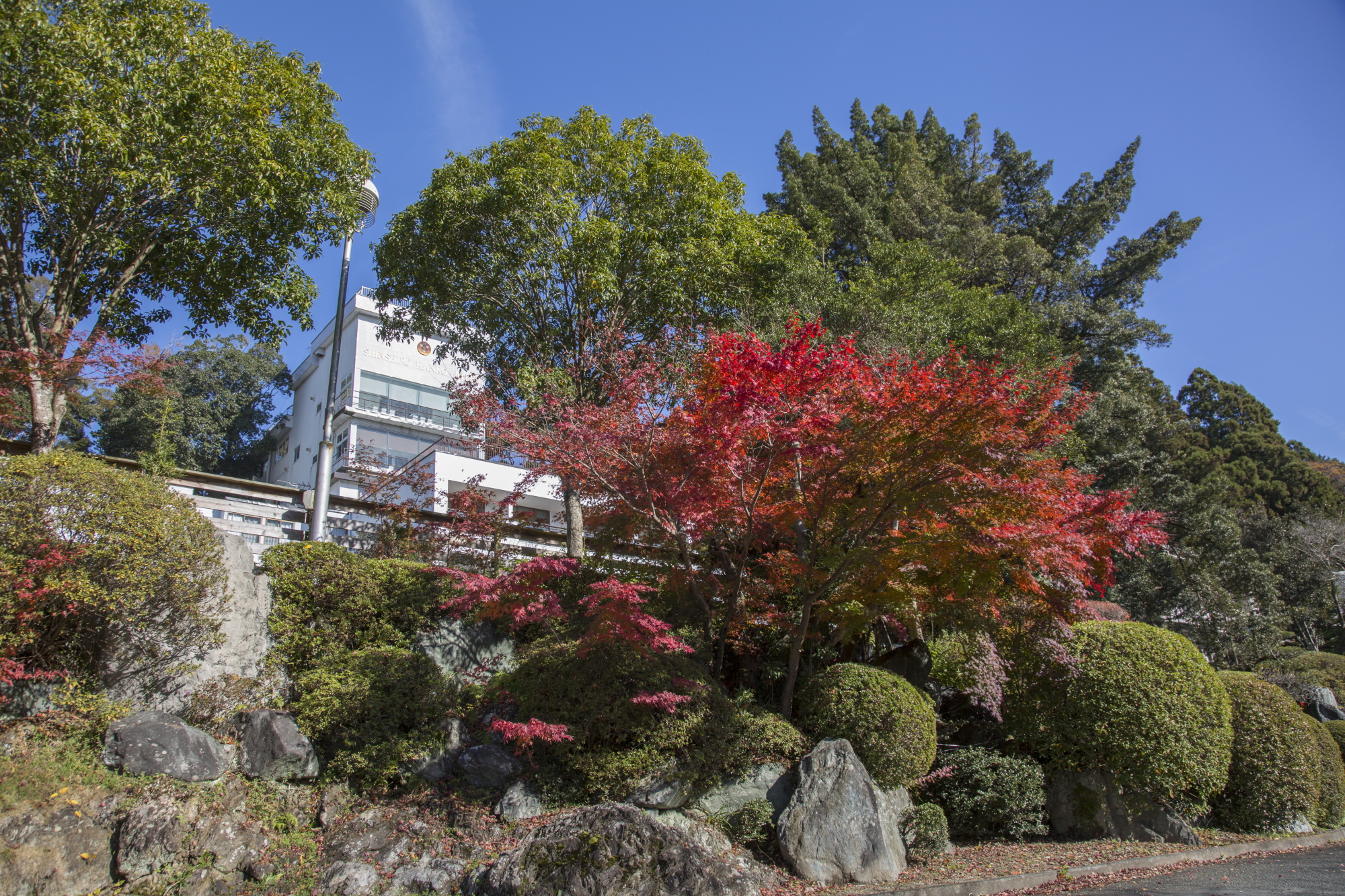 桜淵公園は、春の桜のイメージが強いかもしれませんが、秋の紅葉は見所です。 当ホテルの目の前には、腕扱山（うでこきさん）という山があり、紅葉の時期には山全体が真っ赤に染まります。