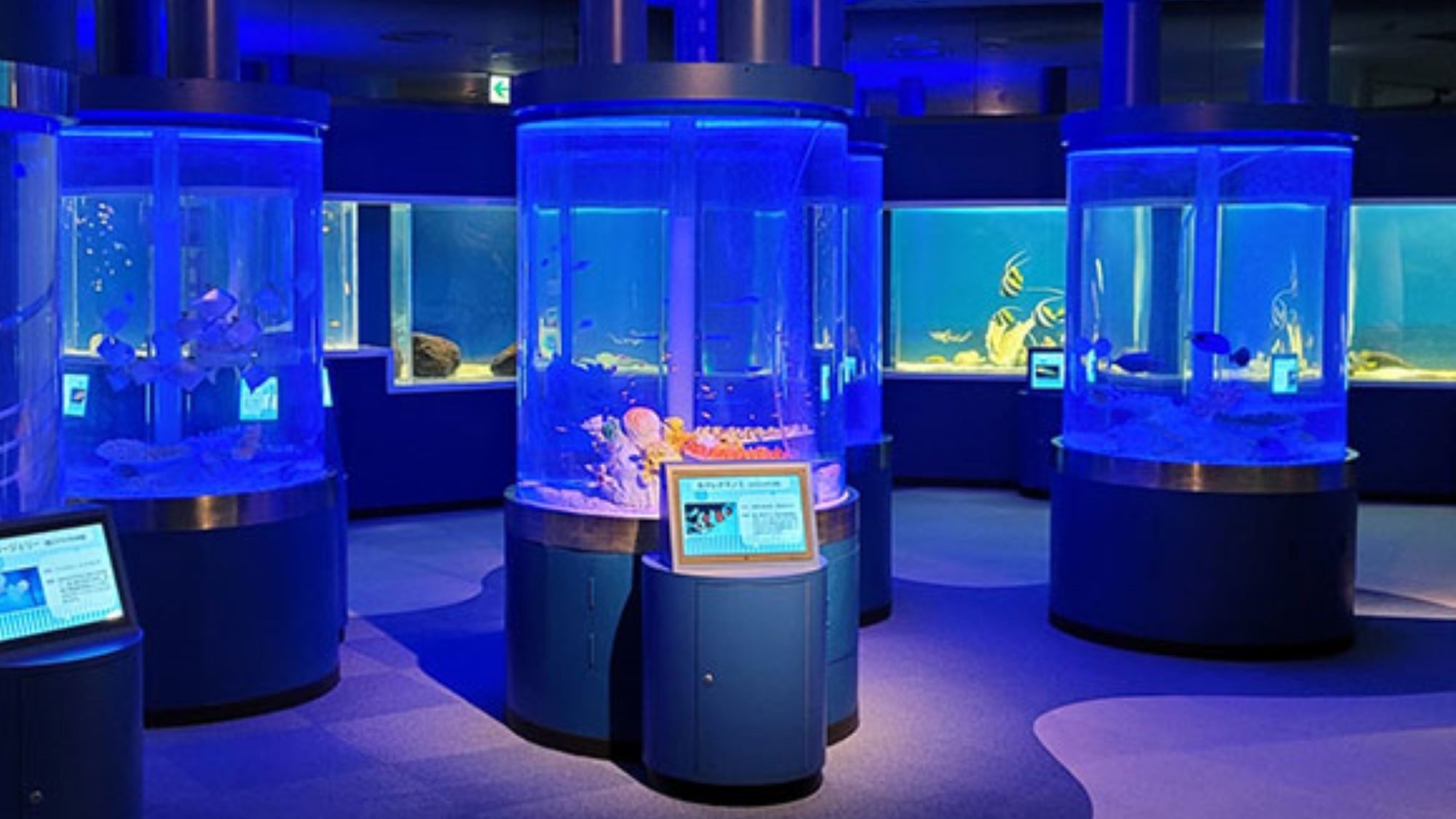 【札幌トク旅】新さっぽろサンピアザ水族館入場券付き！ＪＲ・地下鉄新札幌駅直結☆【禁煙】食事なし