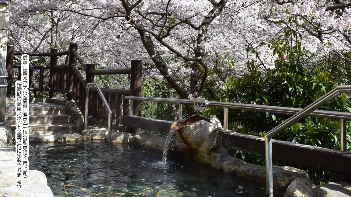 桜時期の温泉