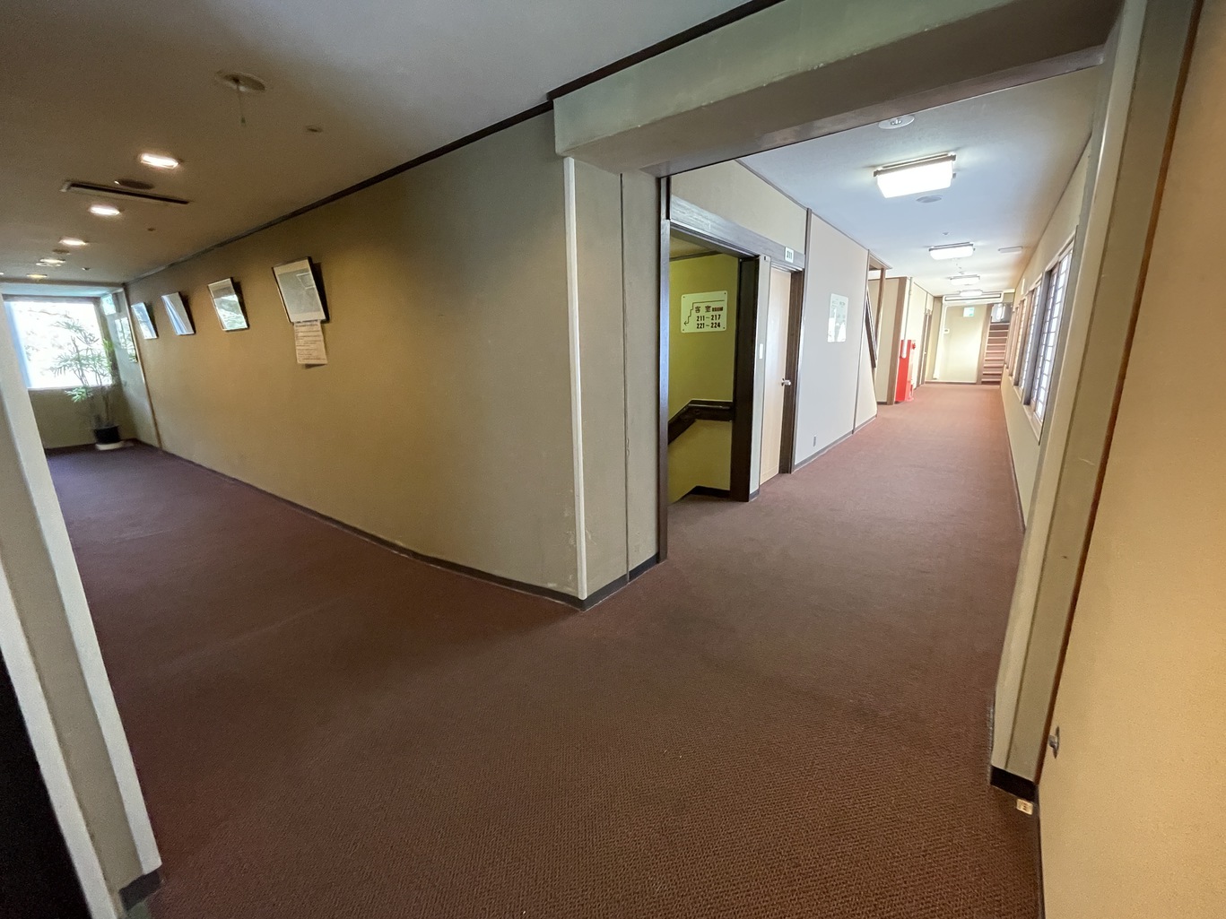 東館3Ｆの廊下（フロントと同じ階なので階段はありません）