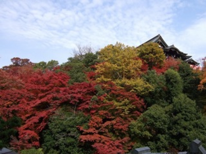 信貴山紅葉