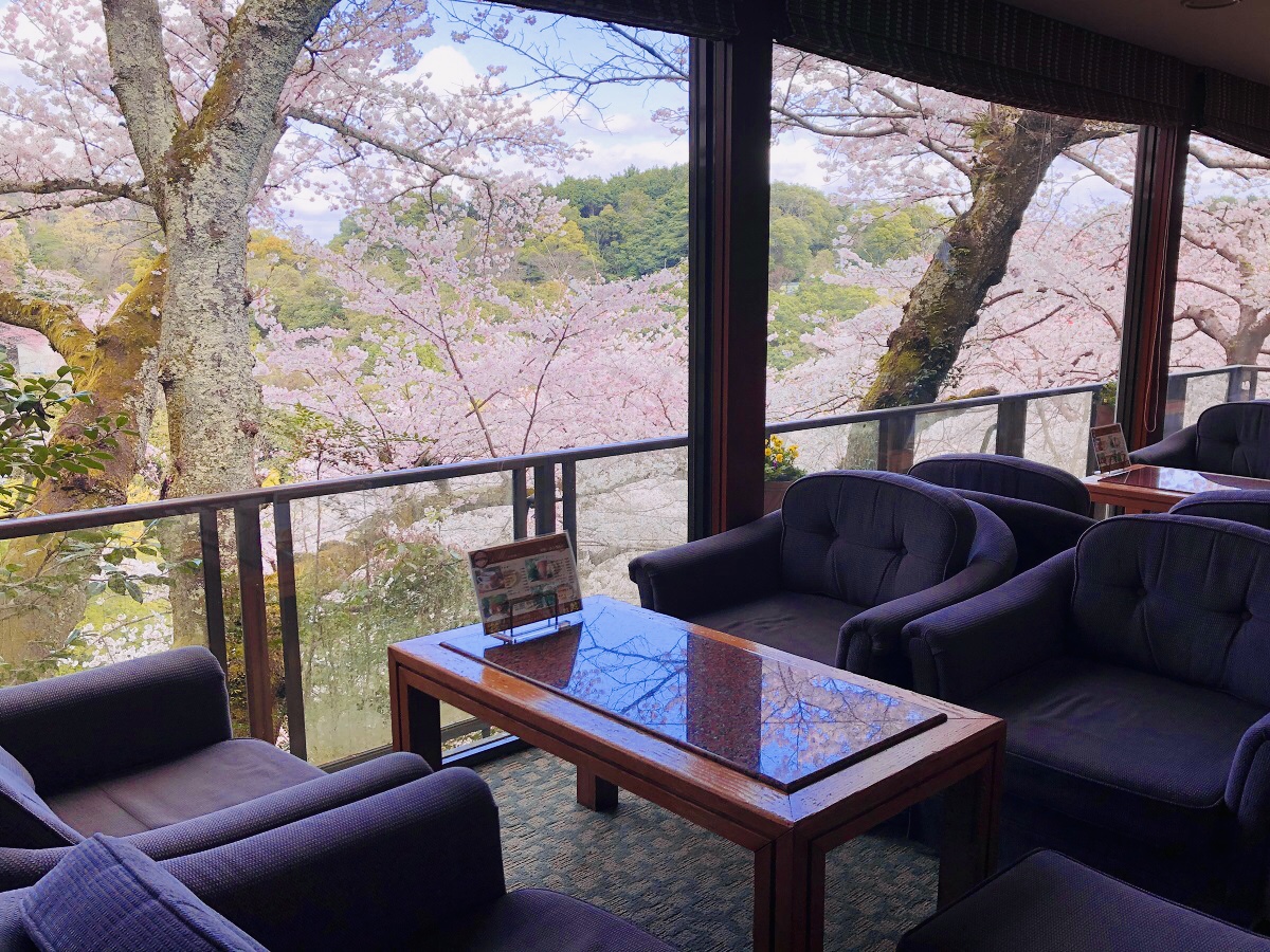 喫茶「ふうちん」より桜景色