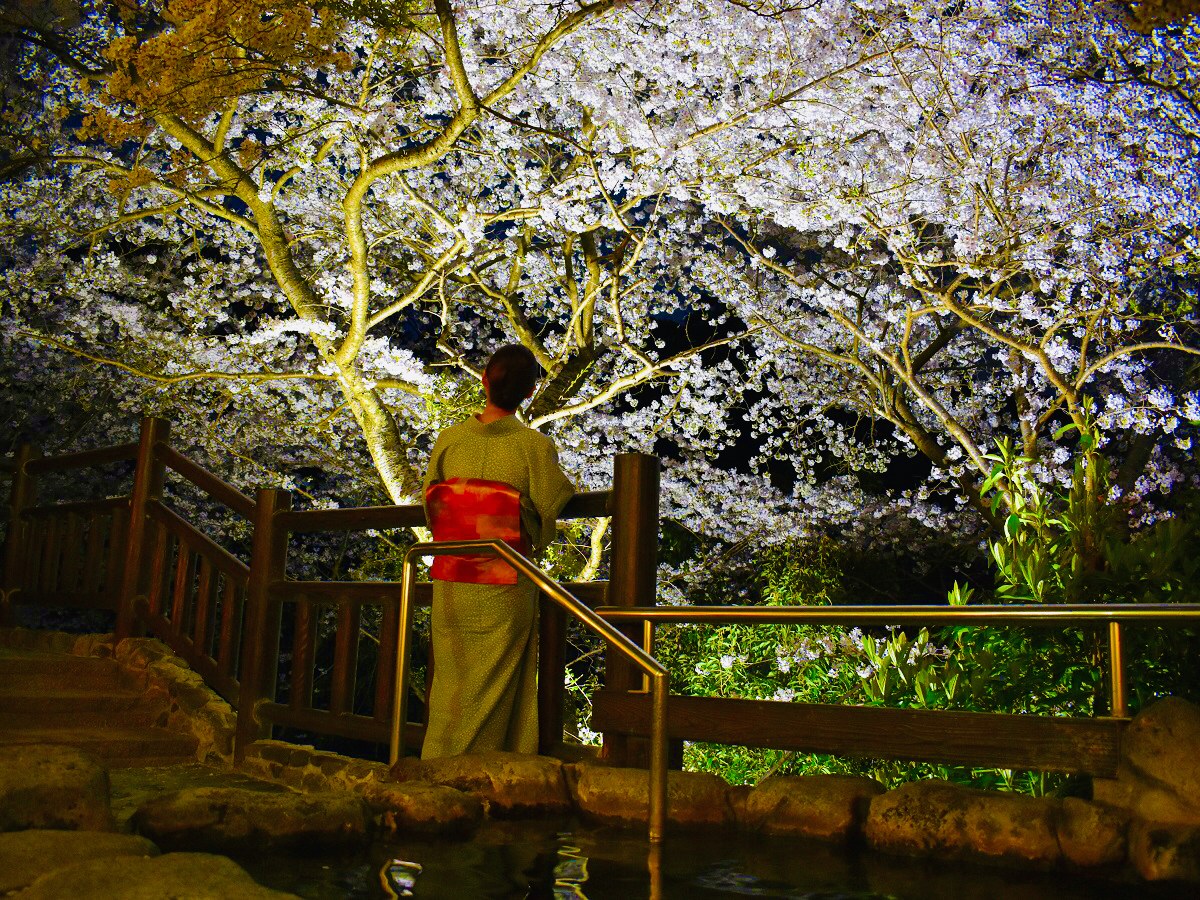 桜時期の信貴山温泉ライトアップ