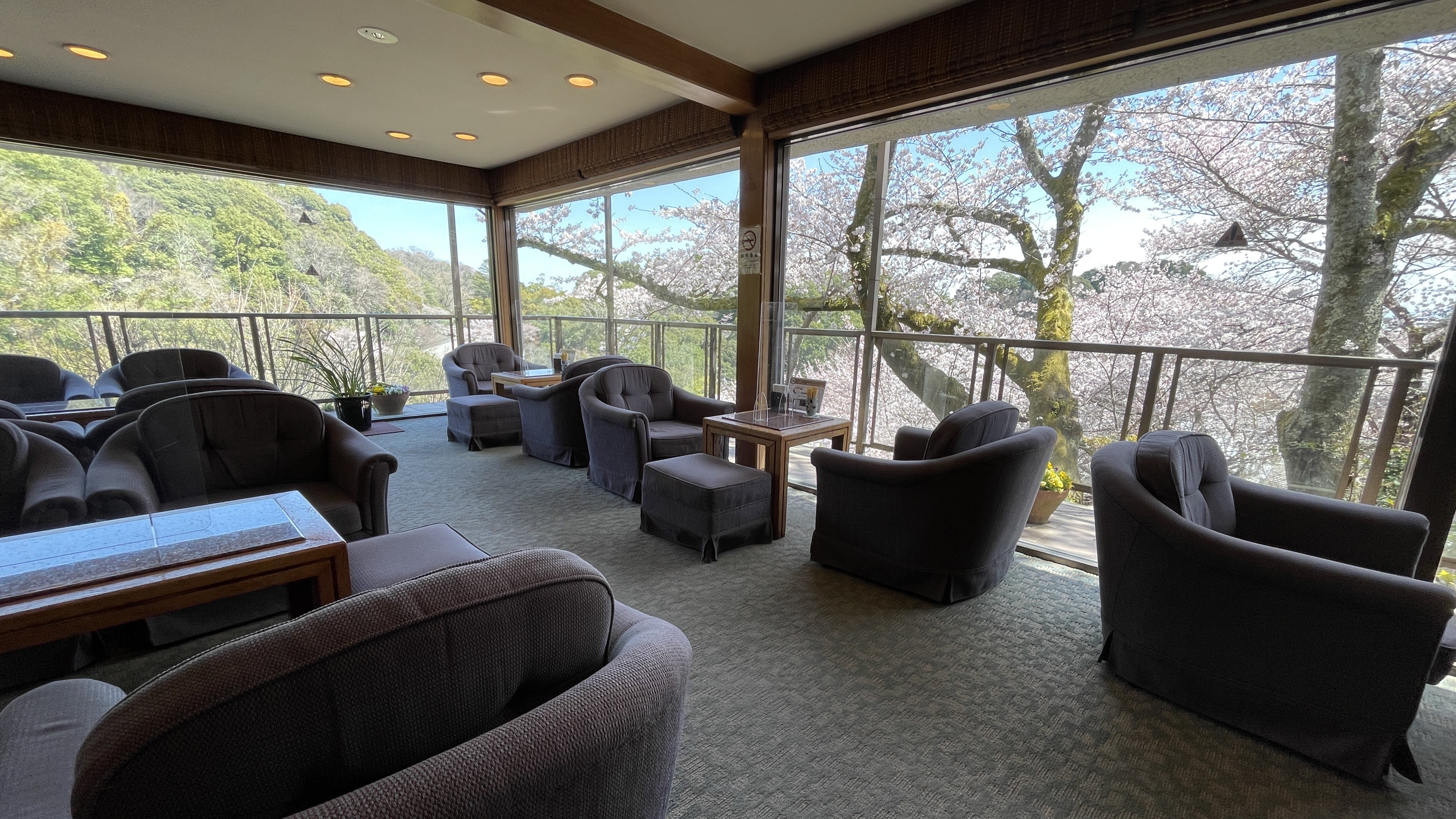 喫茶「ふうちん」桜時期