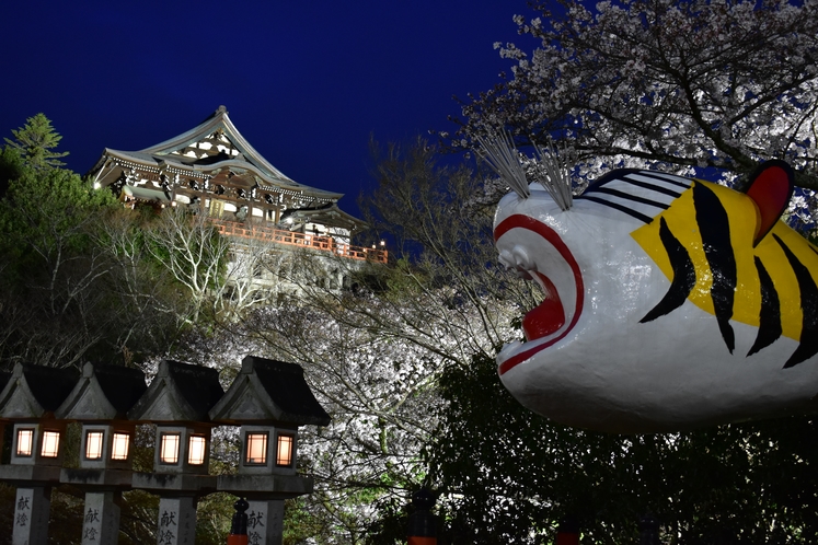 夜のお寺散歩「ナイトウォーク」土・日・月実施（年末年始除外）