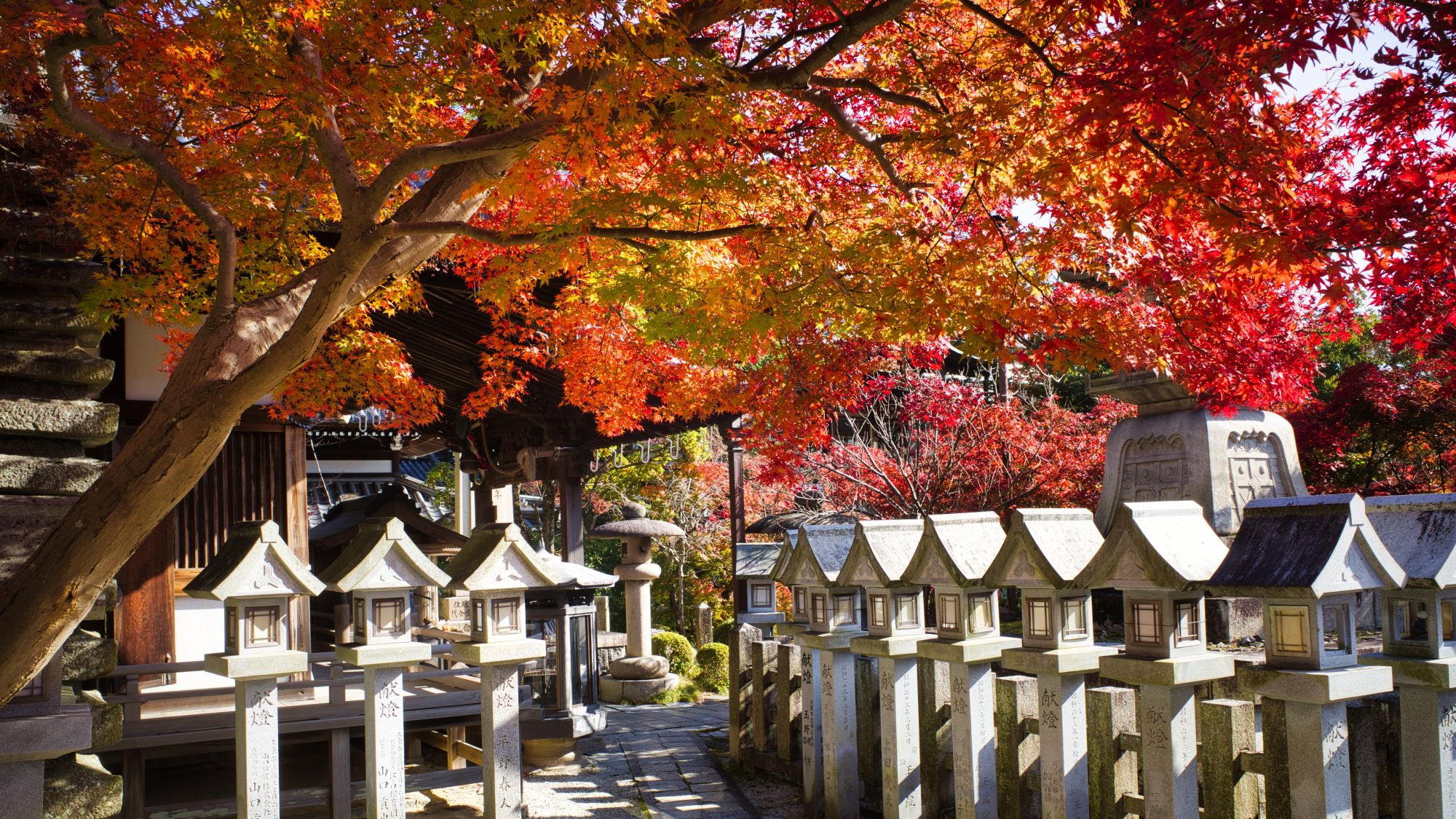 信貴山朝護孫子寺