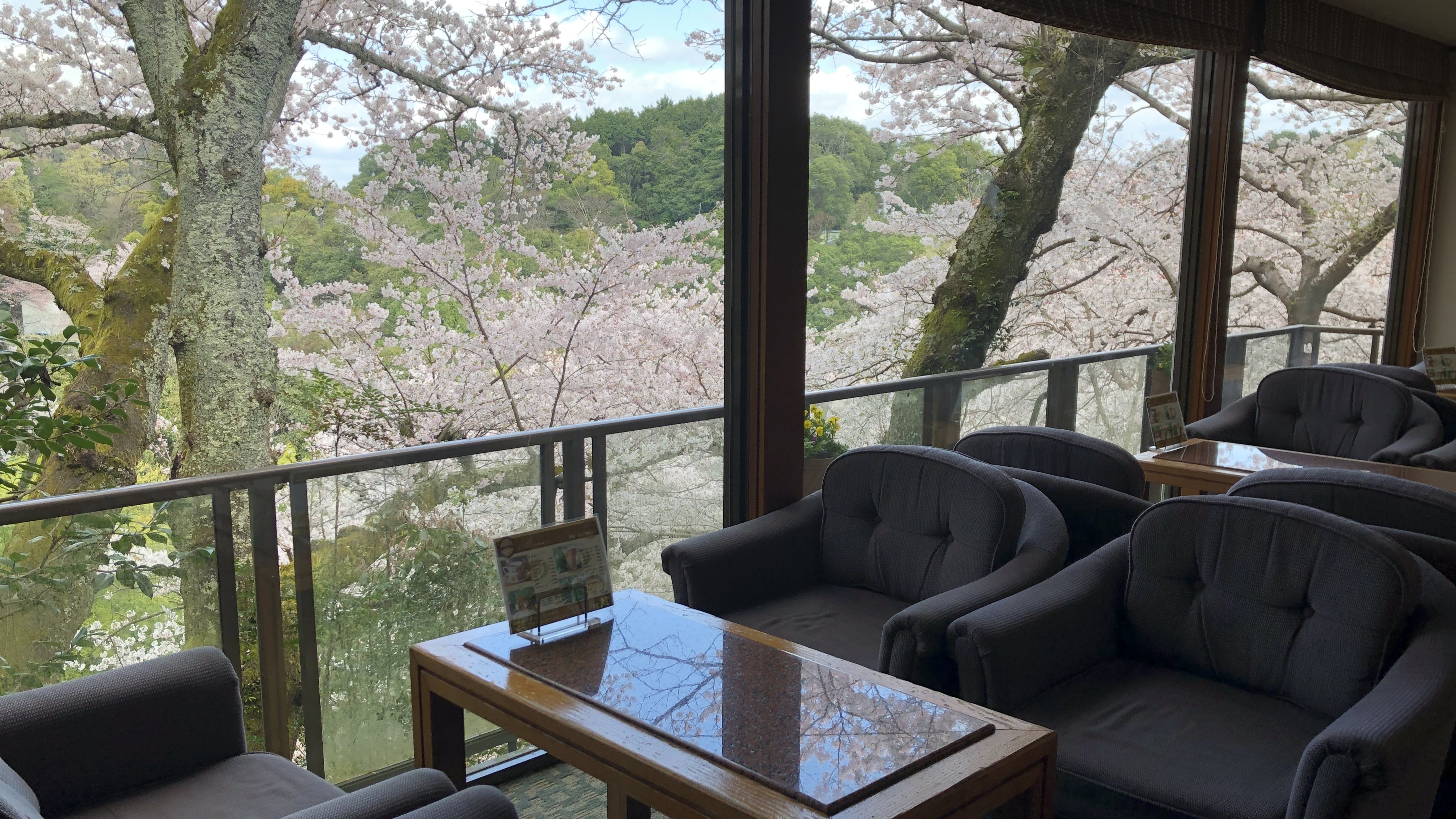 喫茶「ふうちん」桜時期