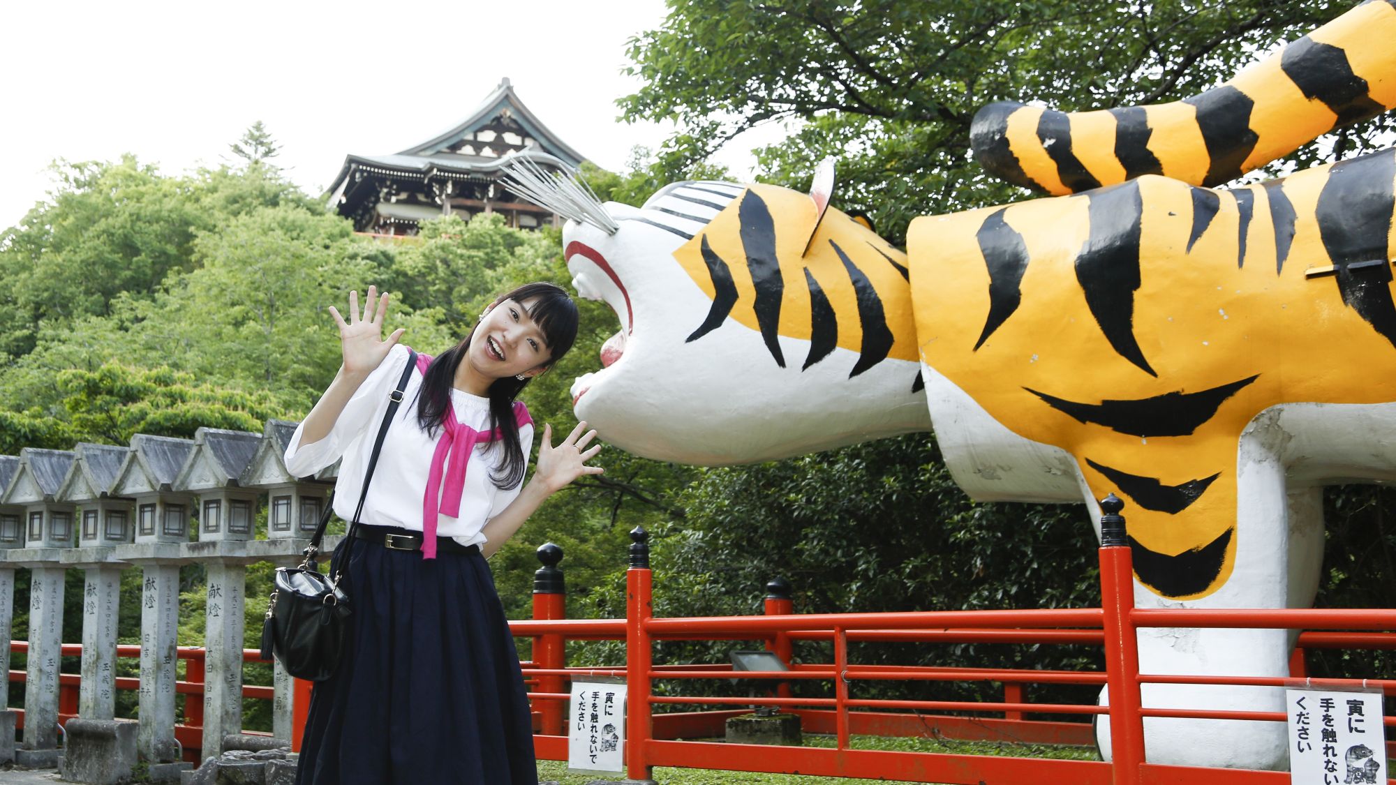 信貴山朝護孫子寺張り子の大寅