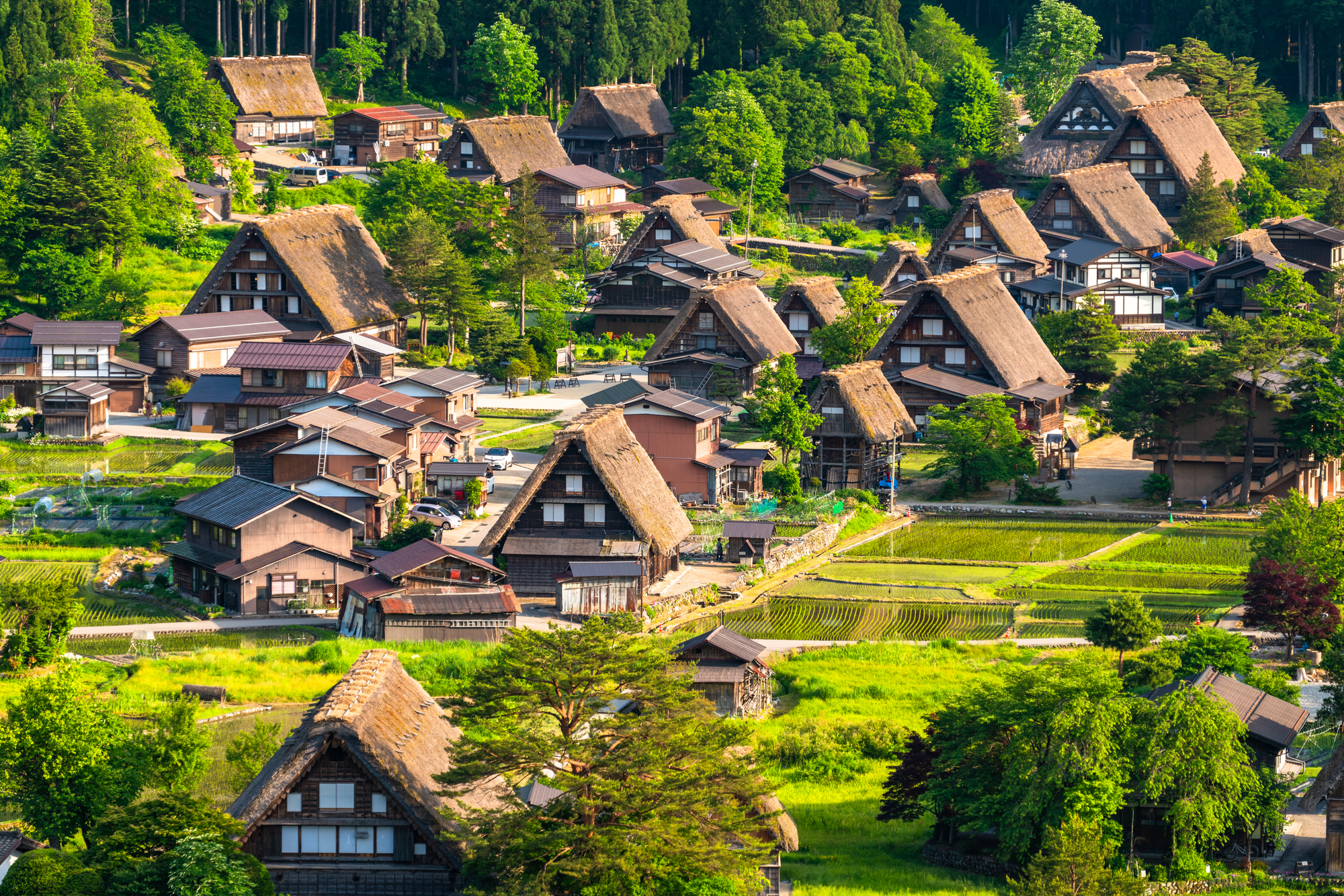 白川郷全景・初夏