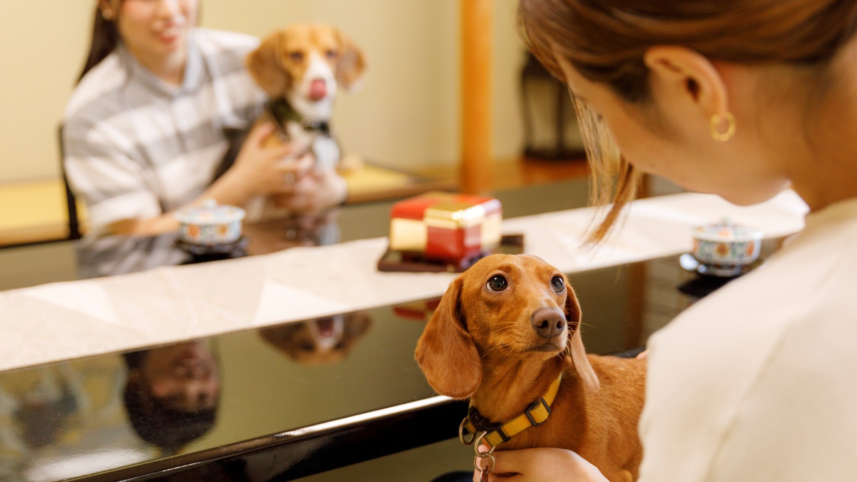 お料理グレードアップ★愛犬・愛猫と温泉旅行★食事処★霧降高原牛などの和食お膳