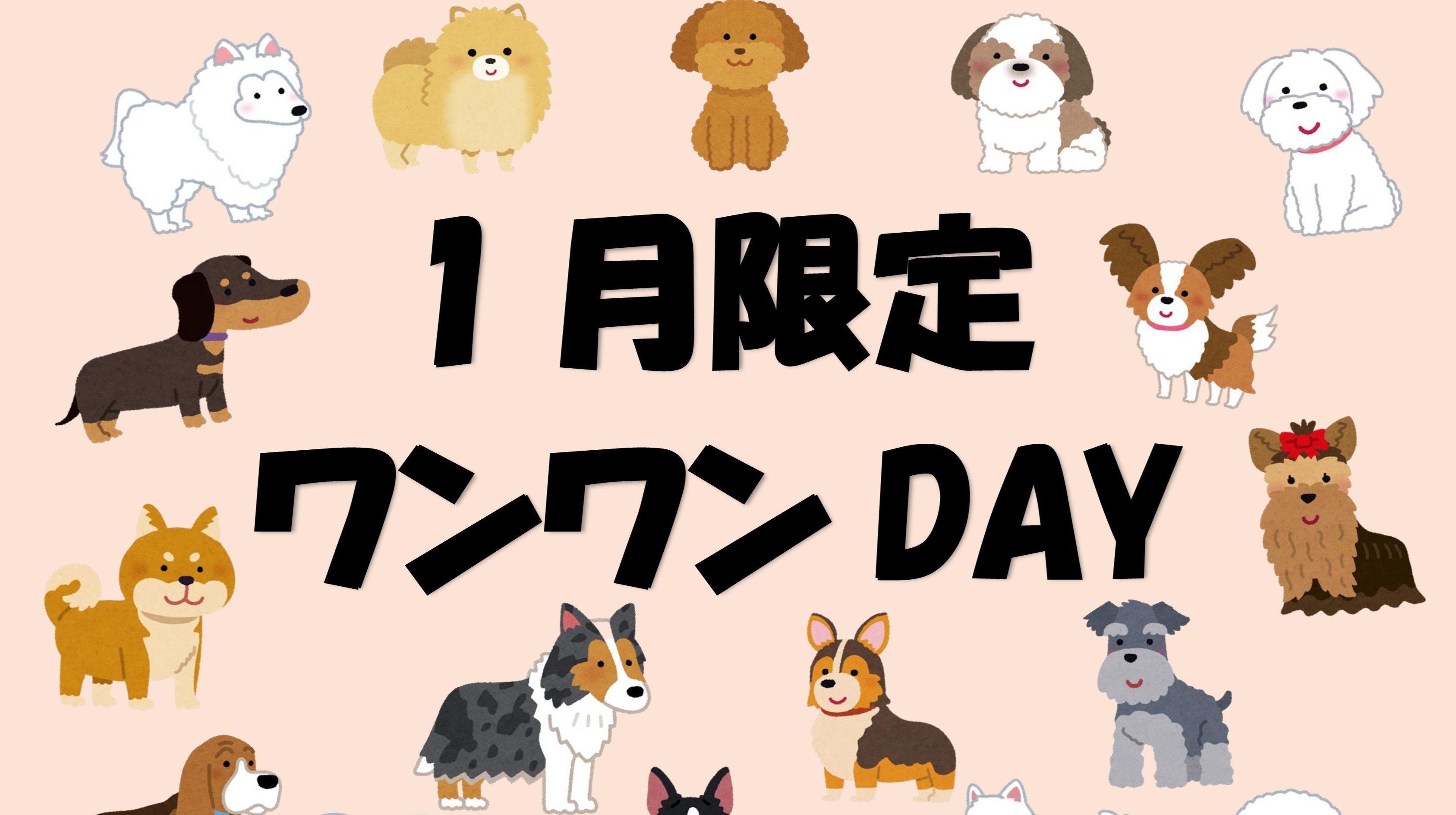 【1月限定】11日・21日・31日はワンちゃん料金1100円！【ワンワンDAYプラン】