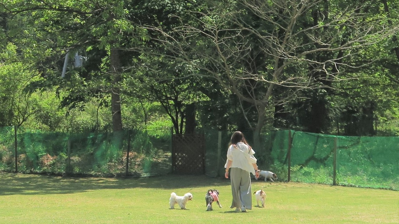 【ペット（愛犬・愛猫）との一人旅】《1人旅にやさしい宿》★お食事処【夕食・朝食付】