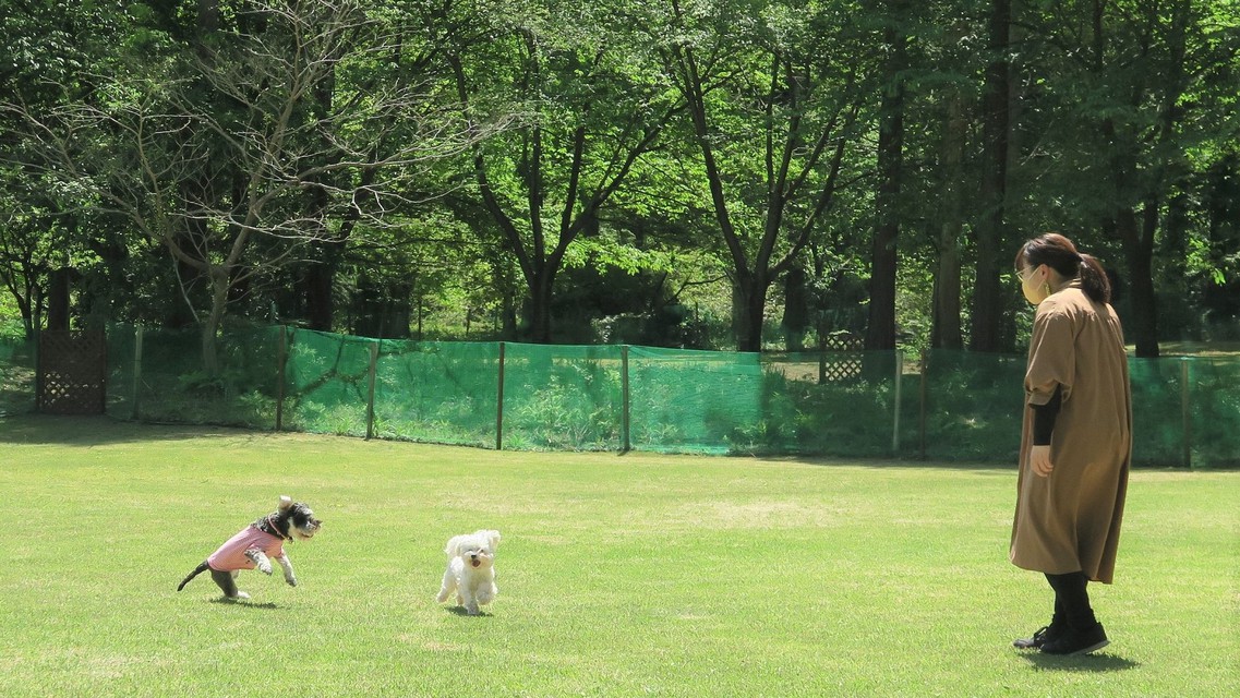 【ペット（愛犬・愛猫）との一人旅】《1人旅にやさしい宿》★部屋食【夕食・朝食つき】