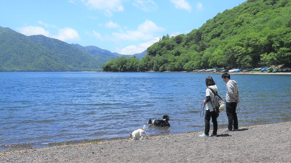 【素泊り（食事なし）】フリープランで『三密』を解消♪愛犬と日光・鬼怒川観光を満喫＆温泉を愉しむプラン