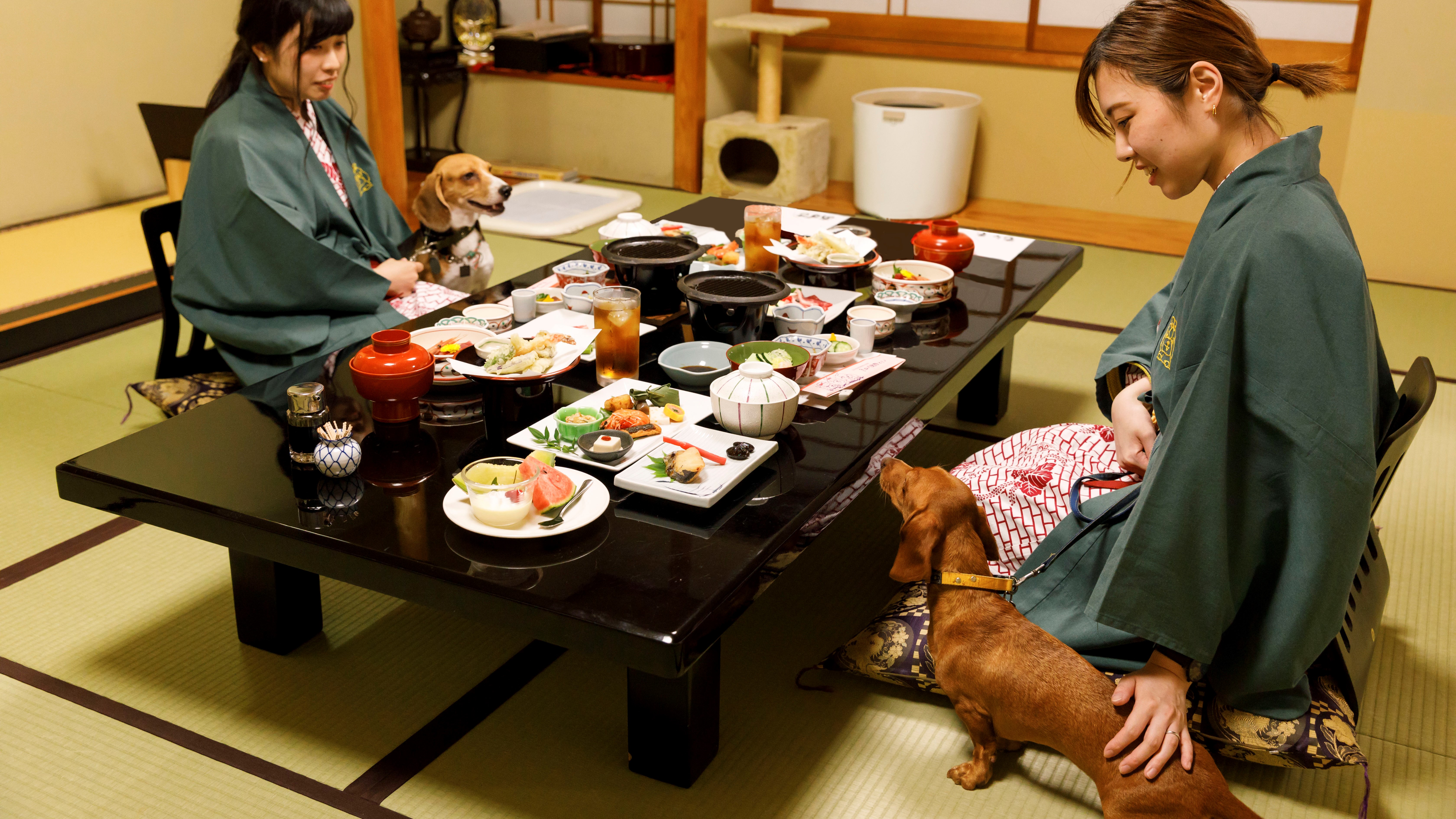 お食事