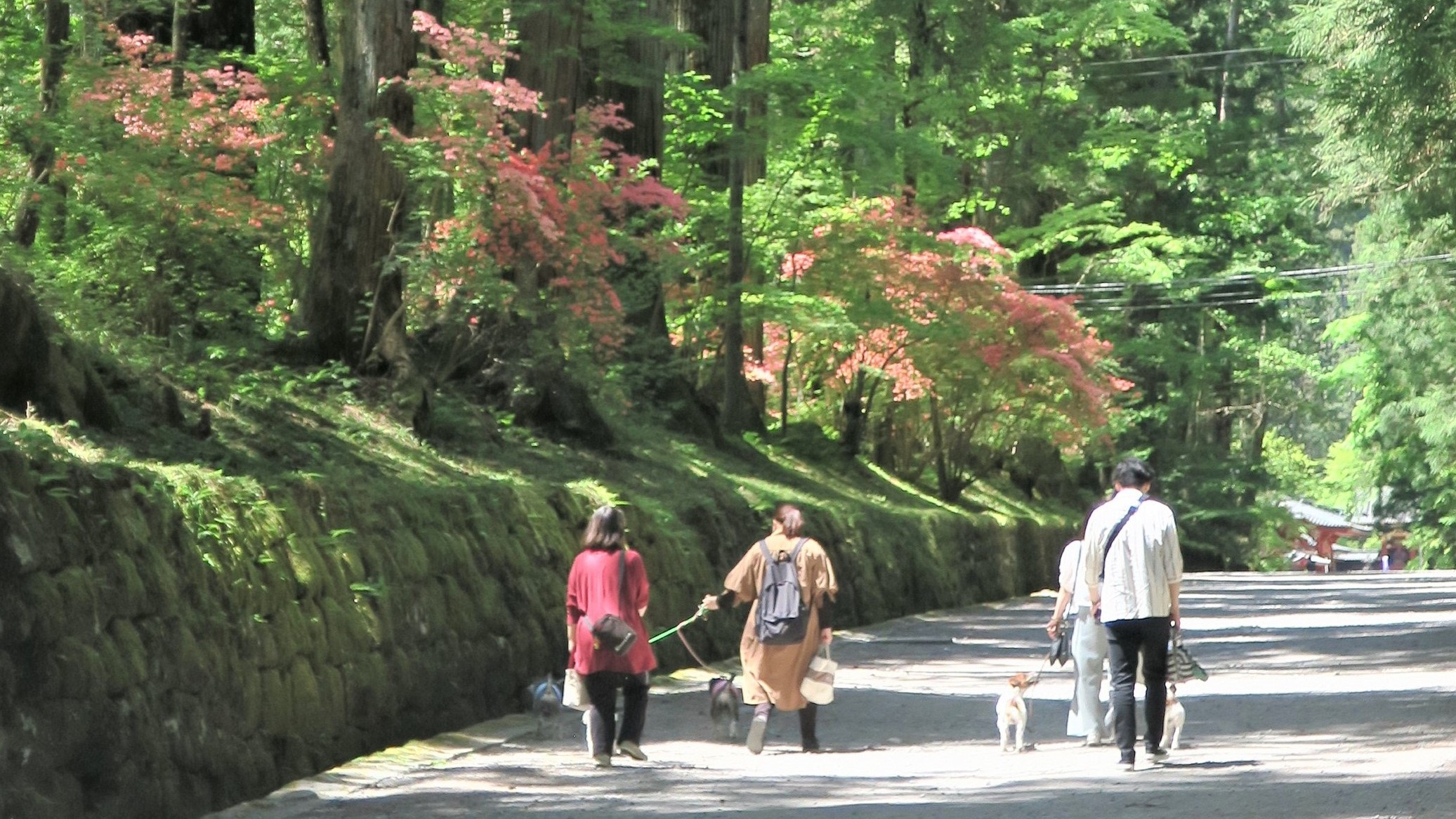 東照宮