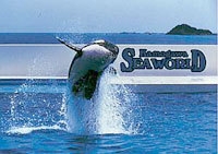 鴨川シーワールドの前泊に最適！　【レイトチェックイン22時までOK!】素泊まりプラン