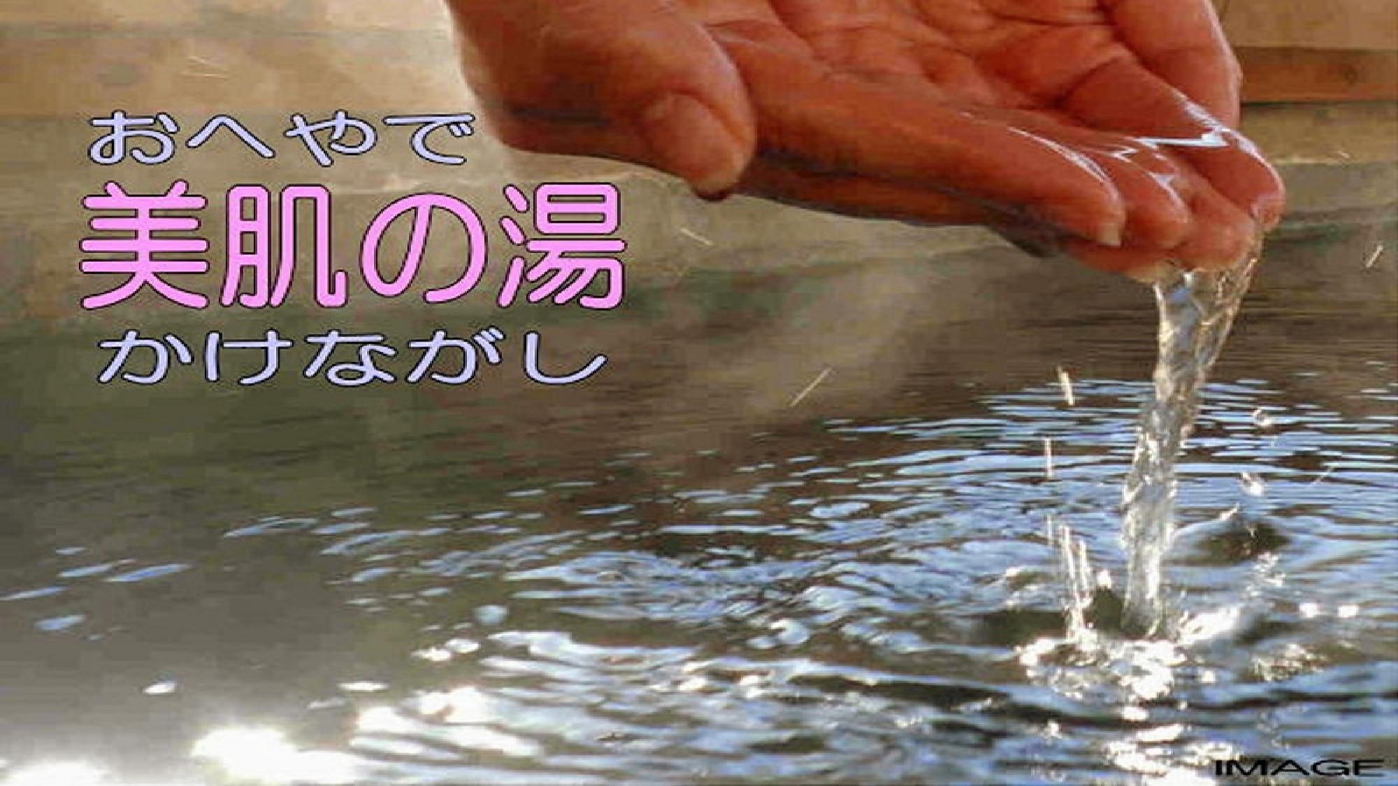 【朝食無】★国宝松江城登閣券２割引★当館より徒歩１０分！松江城天守閣をお得に満喫プラン★