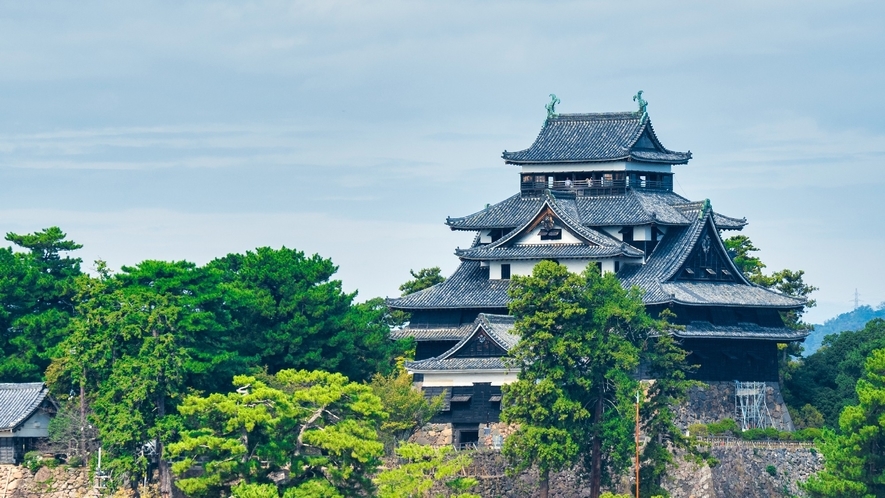 【朝食無】★国宝松江城登閣券２割引★当館より徒歩１０分！松江城天守閣をお得に満喫プラン★