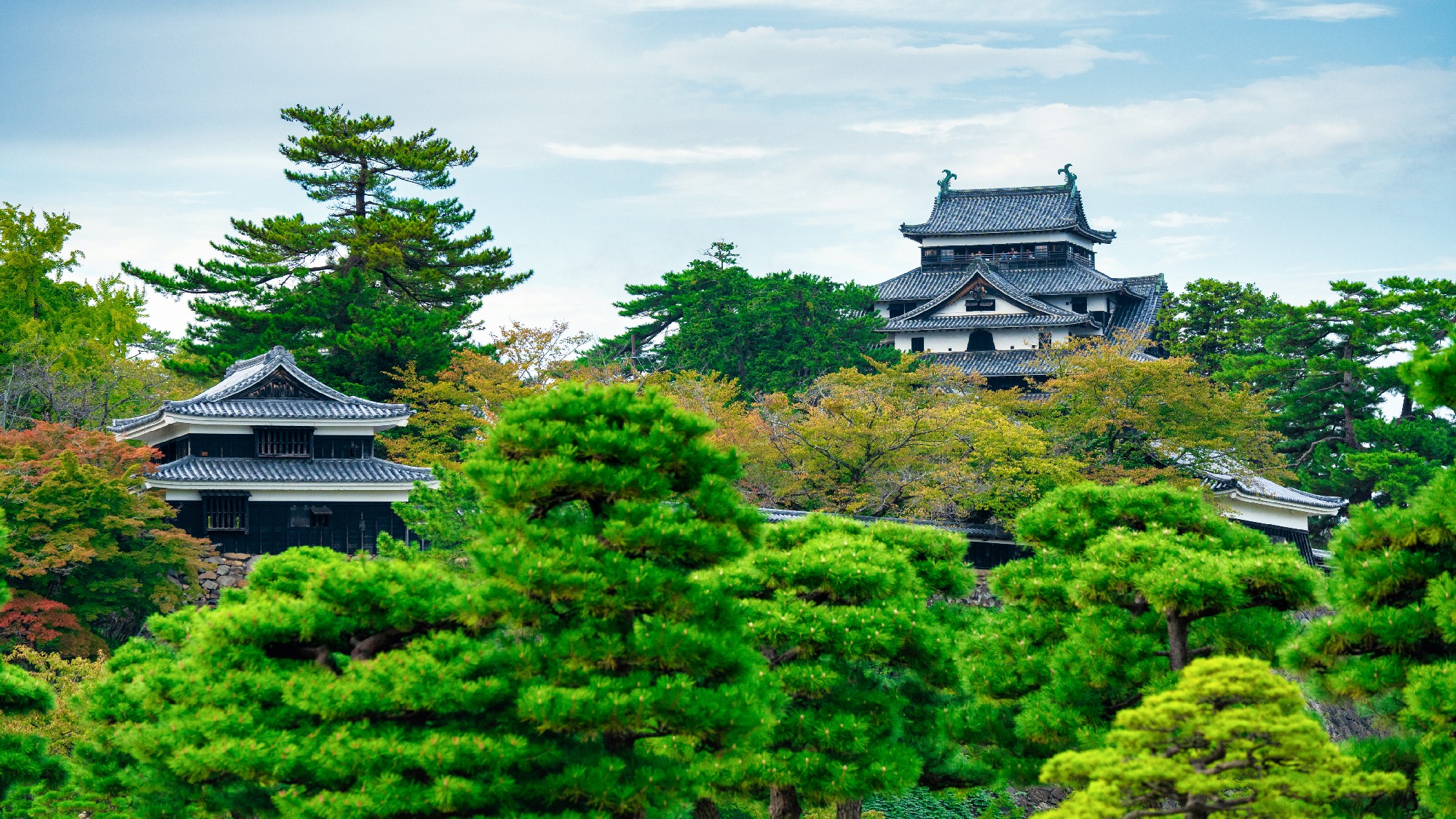 ２００７年に開府４００年を迎えた松江市。２０１１年には松江城完成から４００年を迎えました