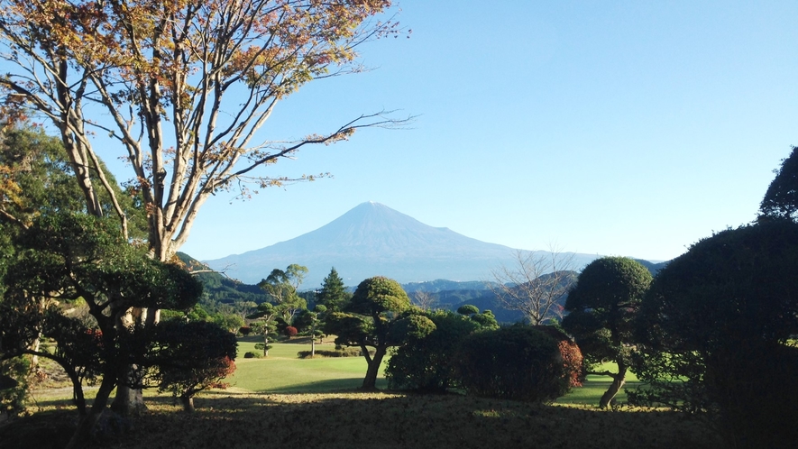 晴れた日に見える富士山は絶景です