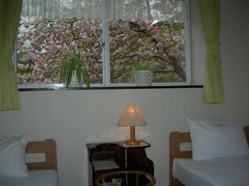 Western-style room