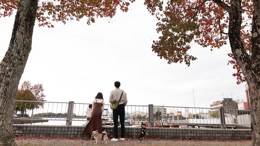 【近江ブランドの冬の味】バーム豚と酒蔵より直送の酒粕・白味噌「吟醸鍋プラン」(夕部屋食)