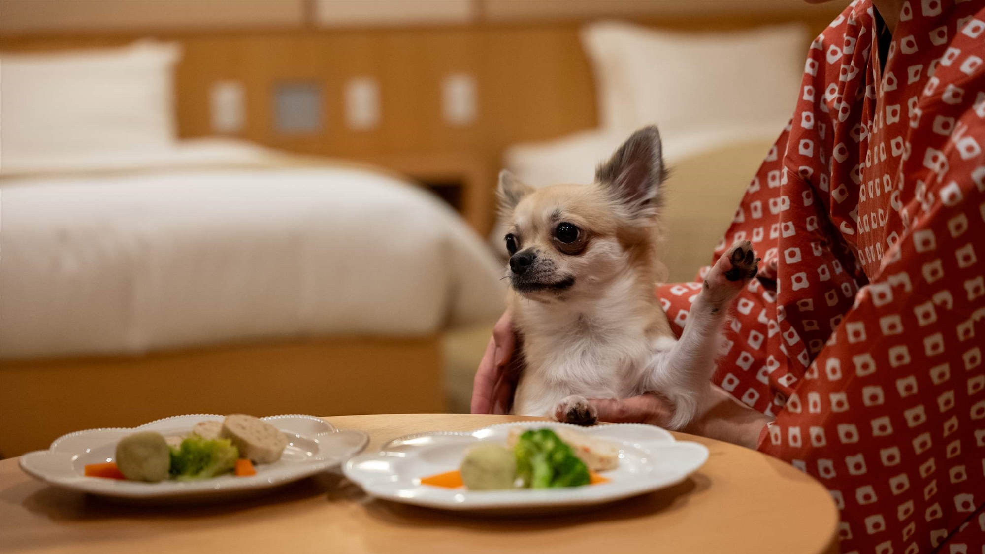 わんちゃんと一緒に楽しむお部屋食