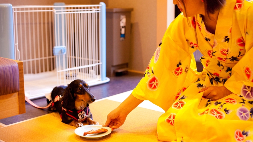 (5)ご夕食はお部屋でワンちゃんと一緒なので安心してお楽しみただけます。