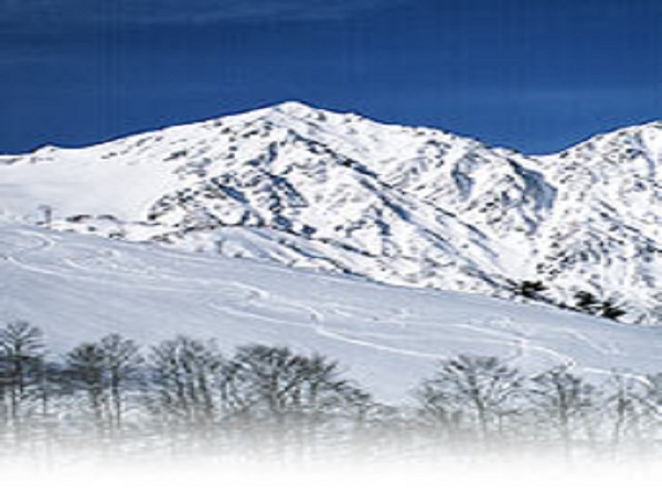 ★ロフト付メゾネットルーム指定・コテージ気分で『素泊まり』プラン！